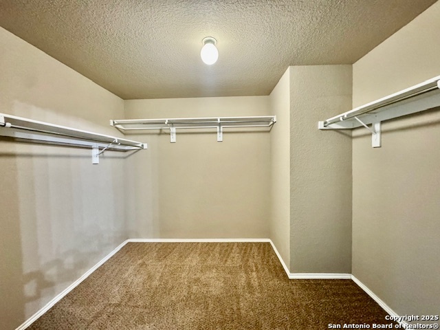 6527 Candleview San Antonio TX 78244