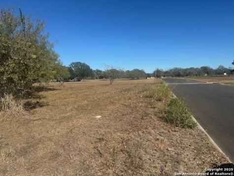 304 Woodland Drive Pleasanton TX 78064
