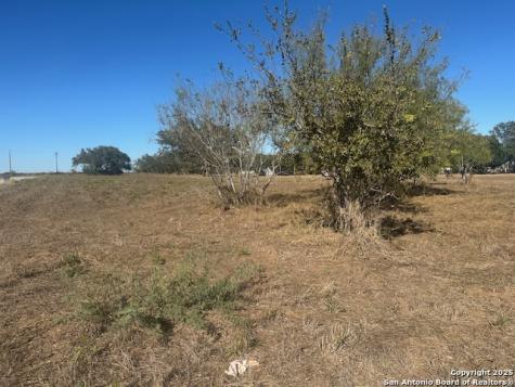 304 Woodland Drive Pleasanton TX 78064