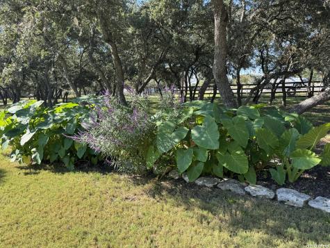 309 Lost Oaks Drive Boerne TX 78006