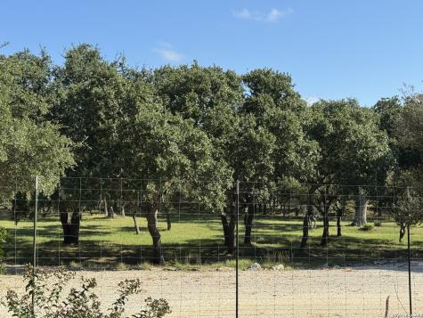 309 Lost Oaks Drive Boerne TX 78006