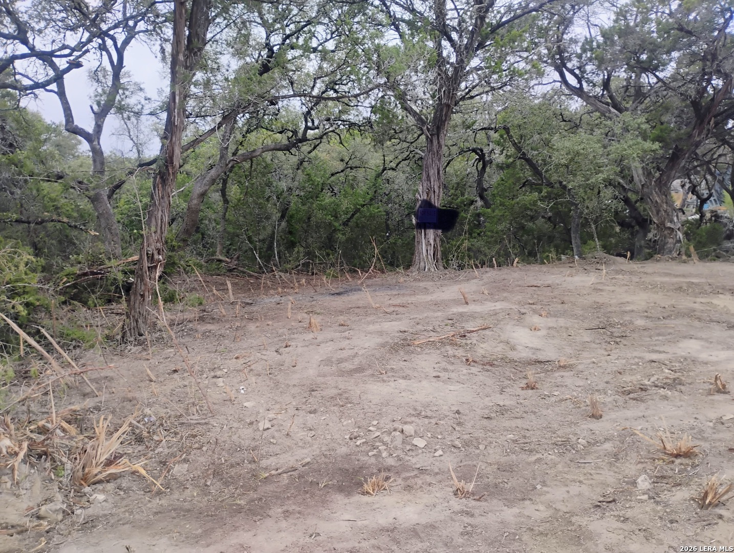 0 Doc Holiday Bandera TX 78003
