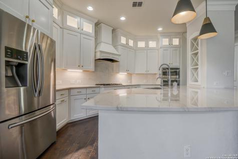 29138 Tivoli Way Fair Oaks Ranch TX 78015