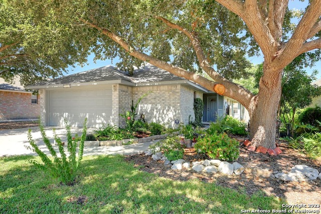 1640 Kimberly Dawn Drive New Braunfels TX 78130