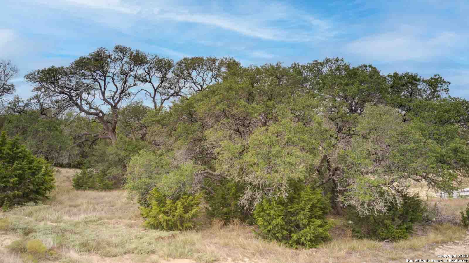 704 Sharp Springs Road Bulverde TX 78163