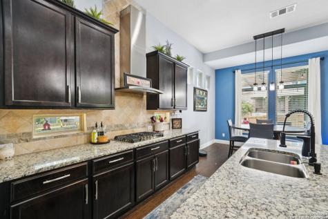 12323 Merritt Villa San Antonio TX 78253