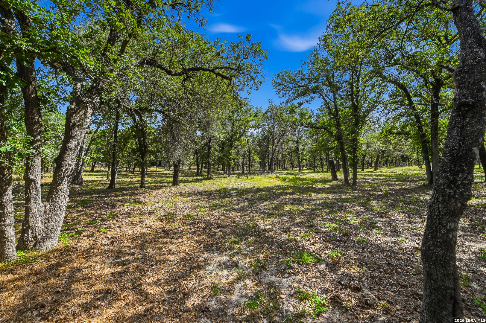 241 Oak Hollow Drive La Vernia TX 78121