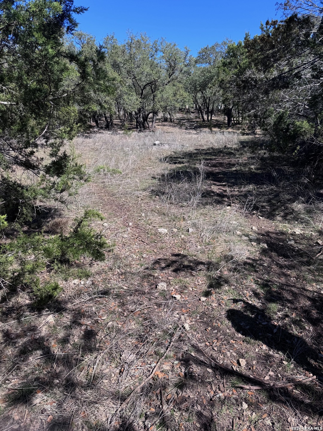 186 Lantana Vista Spring Branch TX 78070