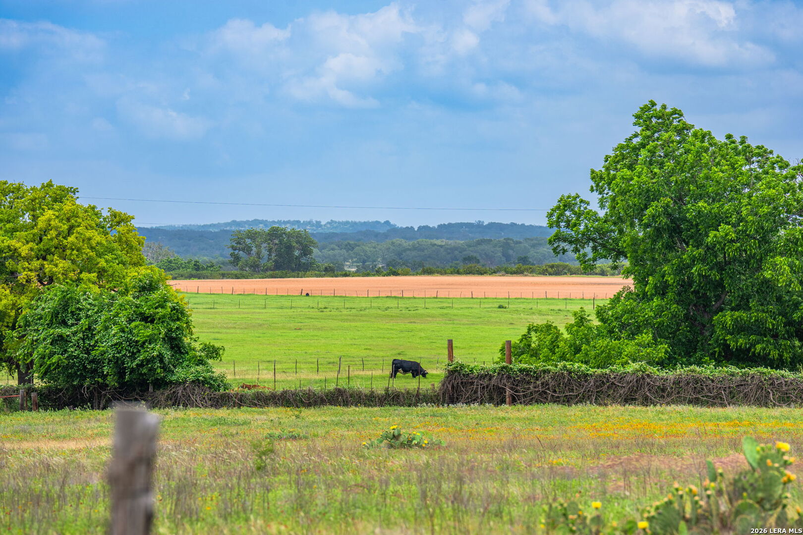 1653 Gellermann Fredericksburg TX 78624