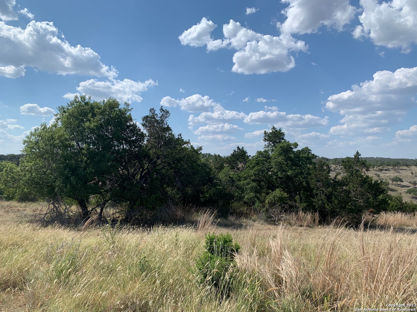 02 Verde Court Fredericksburg TX 78624