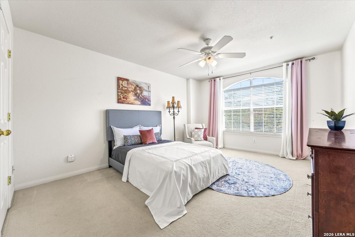 507 Catanbo Court San Antonio TX 78258