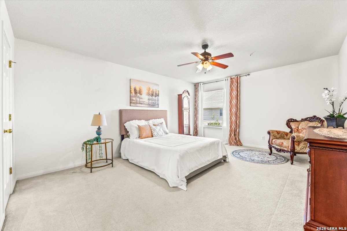507 Catanbo Court San Antonio TX 78258
