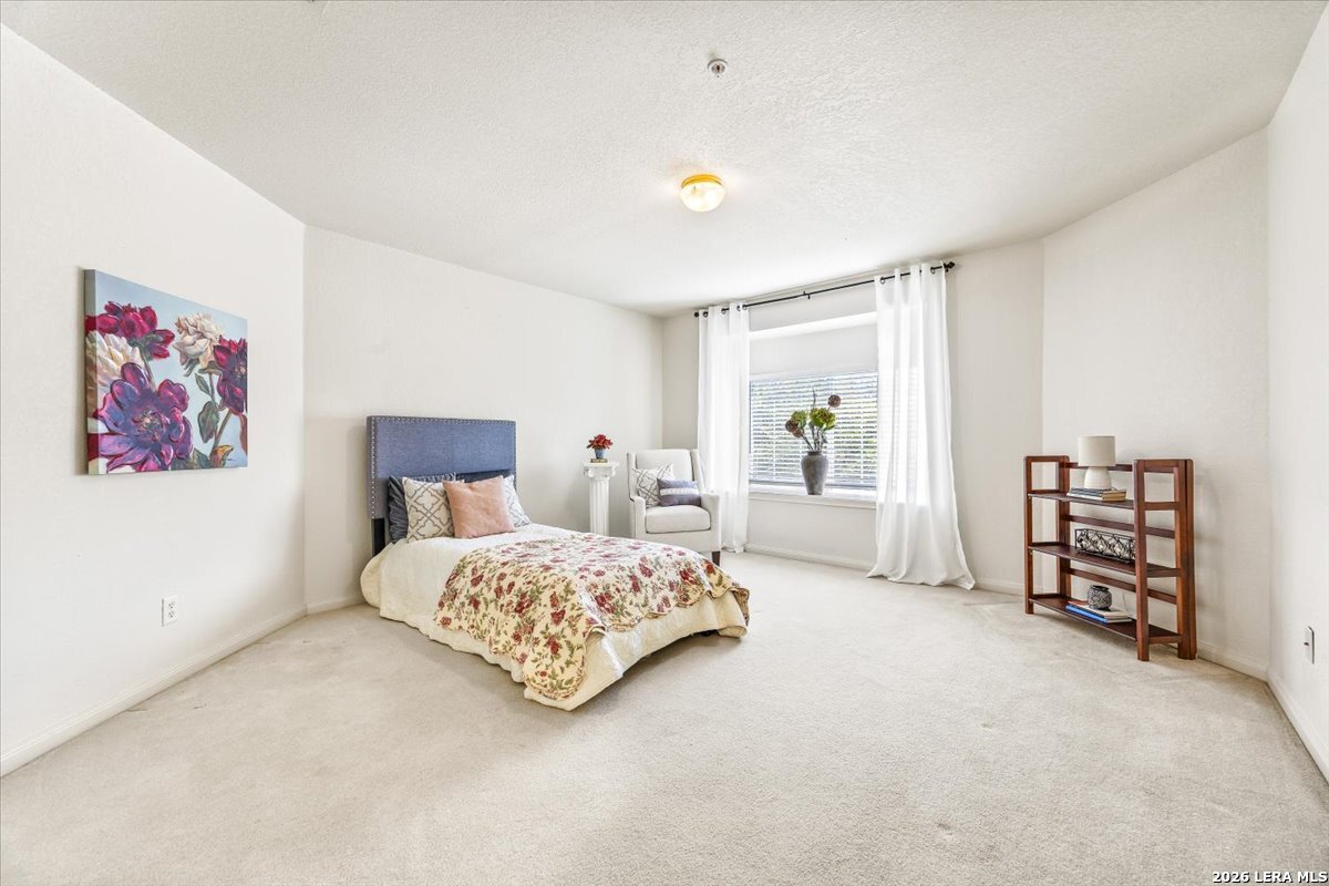 507 Catanbo Court San Antonio TX 78258