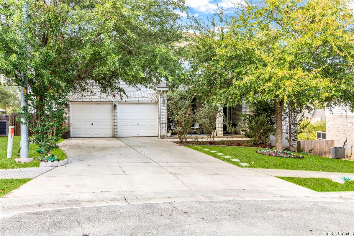 507 Catanbo Court San Antonio TX 78258