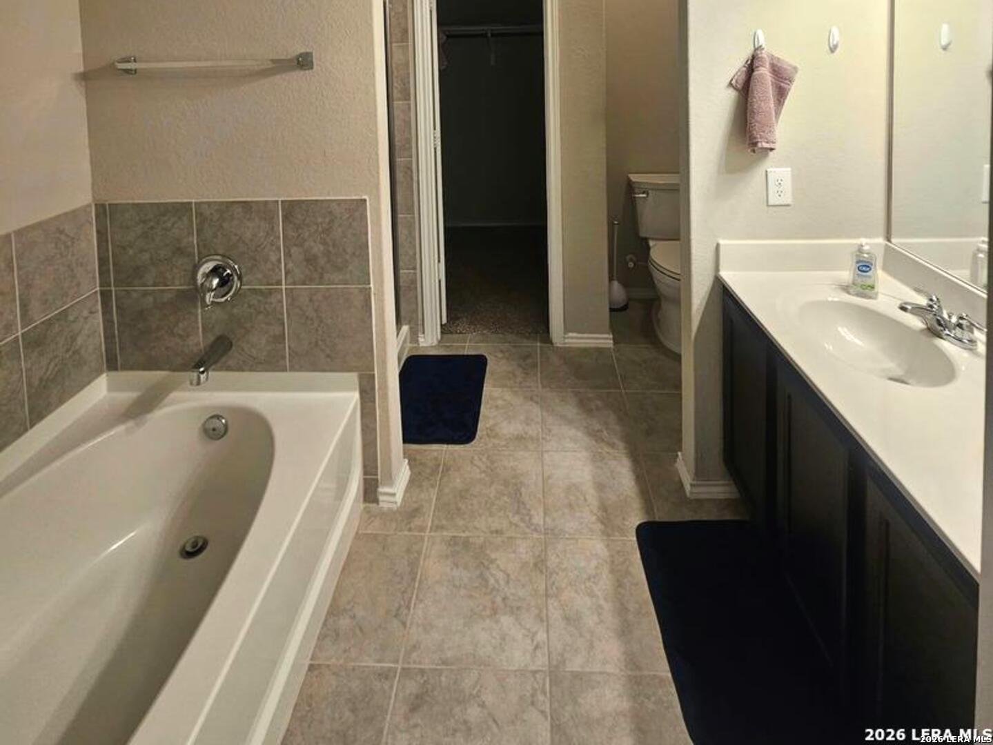 2447 Pink Pearl Drive San Antonio TX 78224