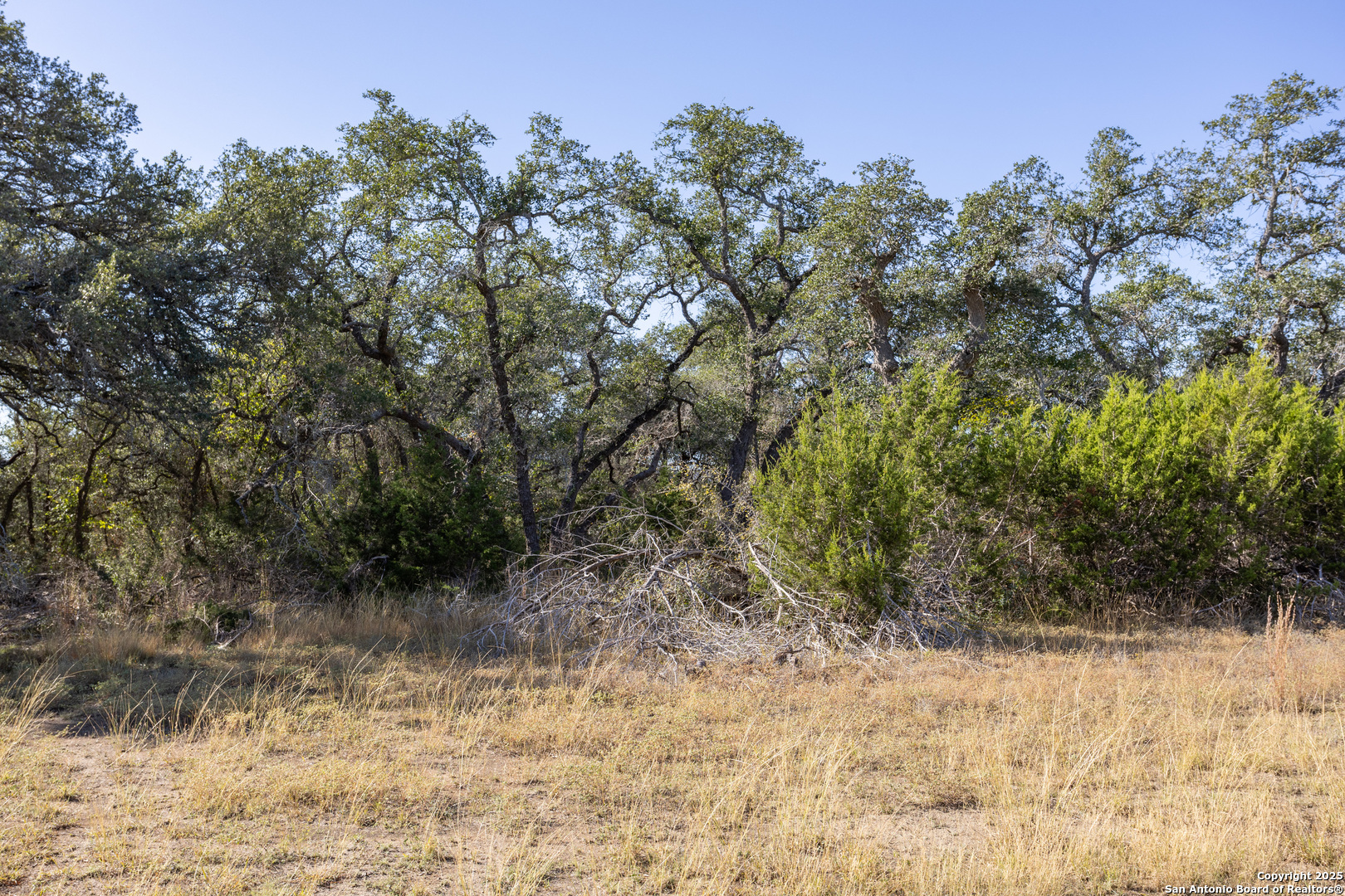 Block 2, Lot 3 Fortunate Son Boerne TX 78006