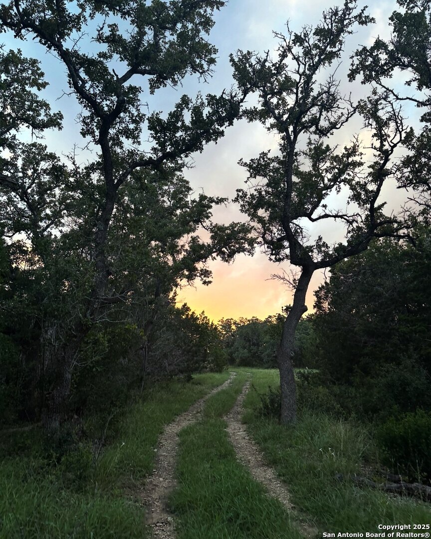 1 Bergwald Bulverde TX 78163