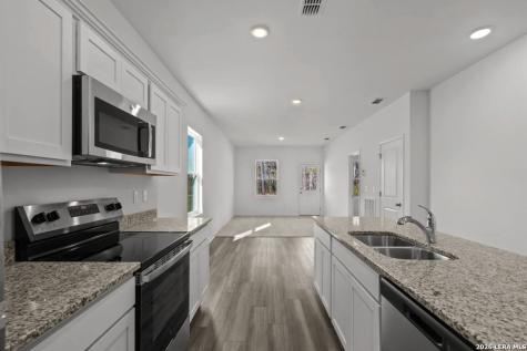 3006 Cattail Hollow San Antonio TX 78222