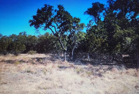 711 John Price Blanco TX 78606
