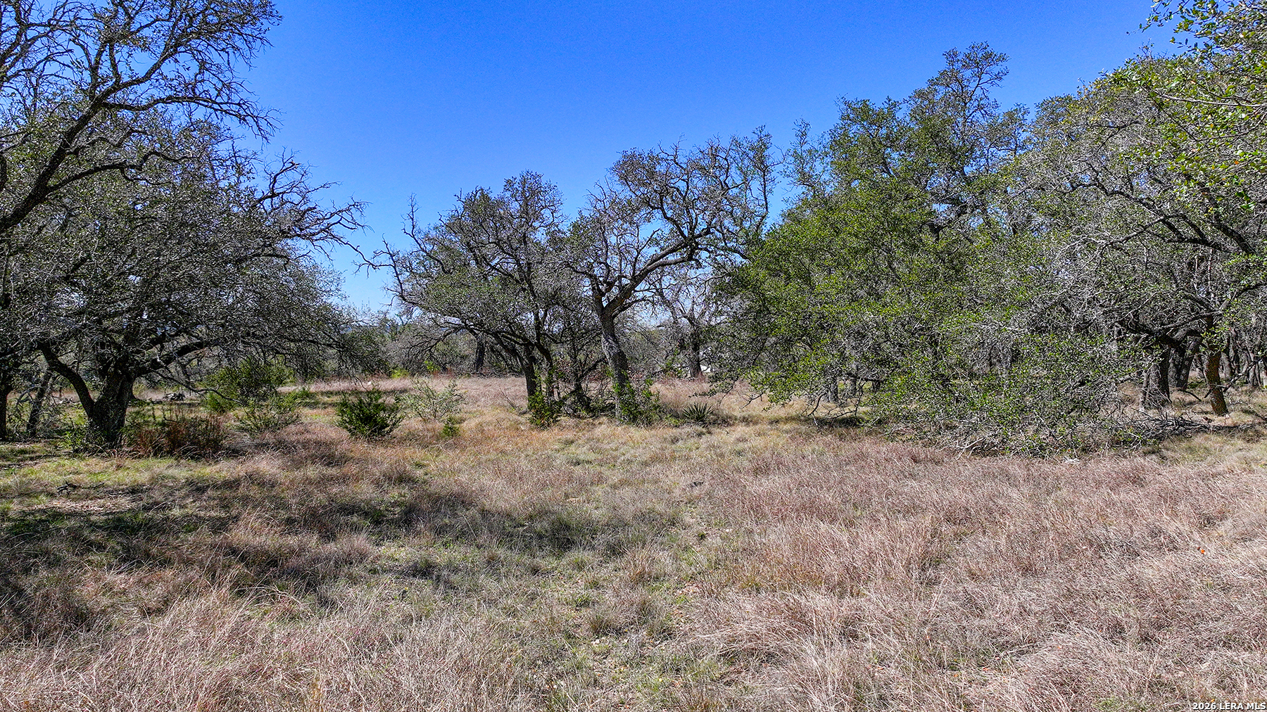 34776 High Gate Bulverde TX 78163