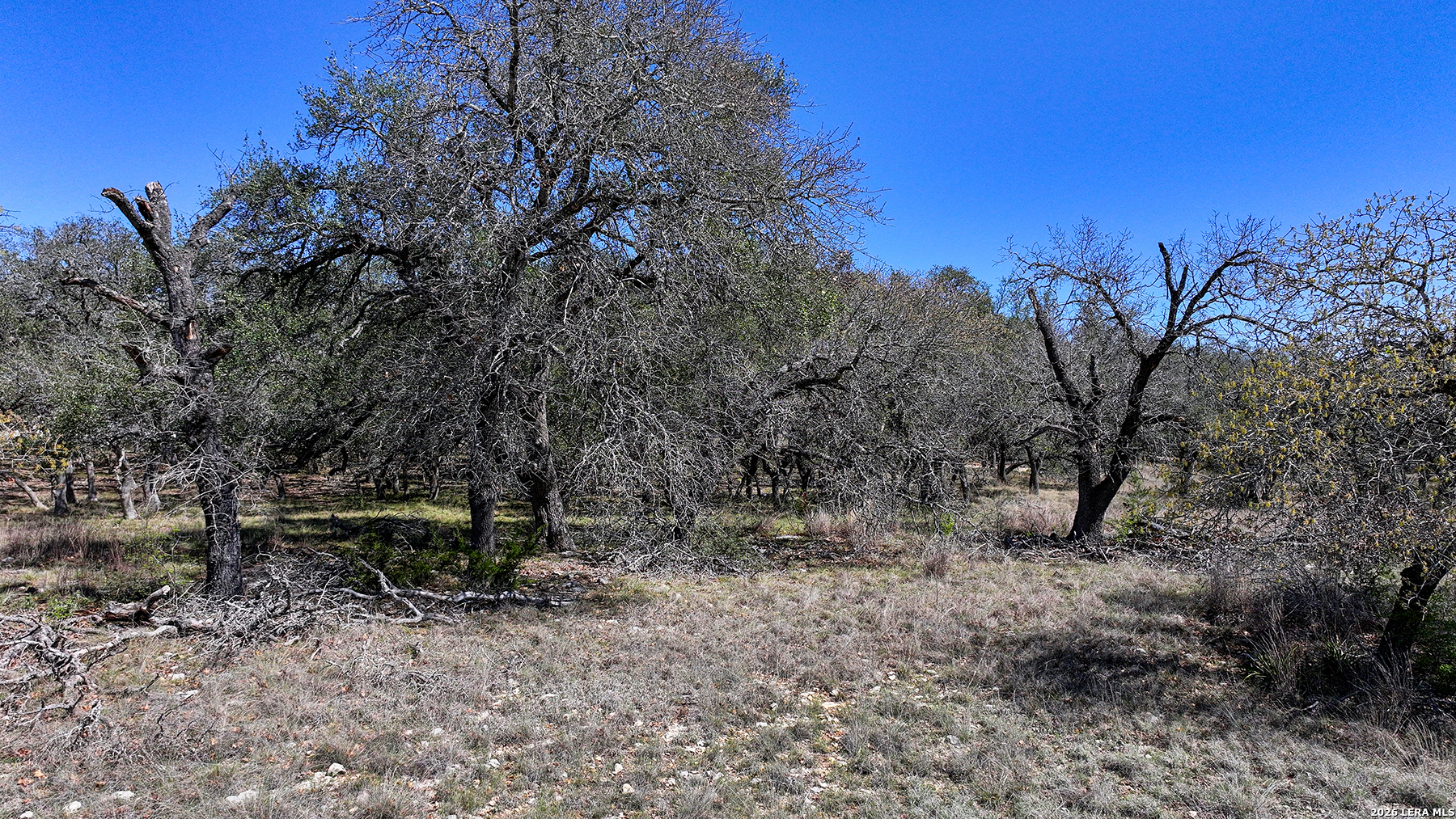 34776 High Gate Bulverde TX 78163