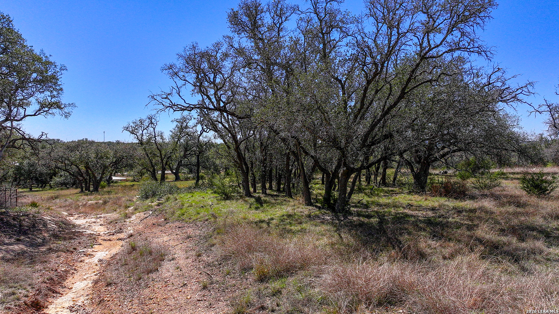 34776 High Gate Bulverde TX 78163