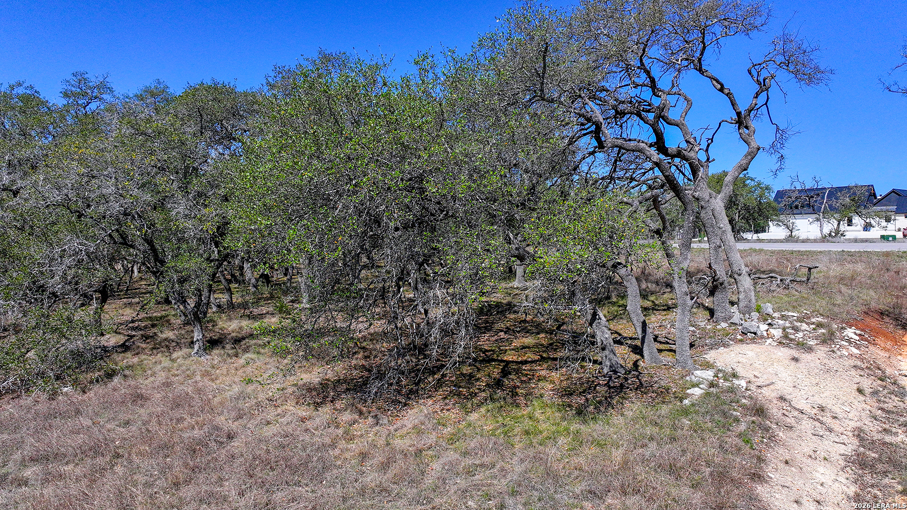 34776 High Gate Bulverde TX 78163