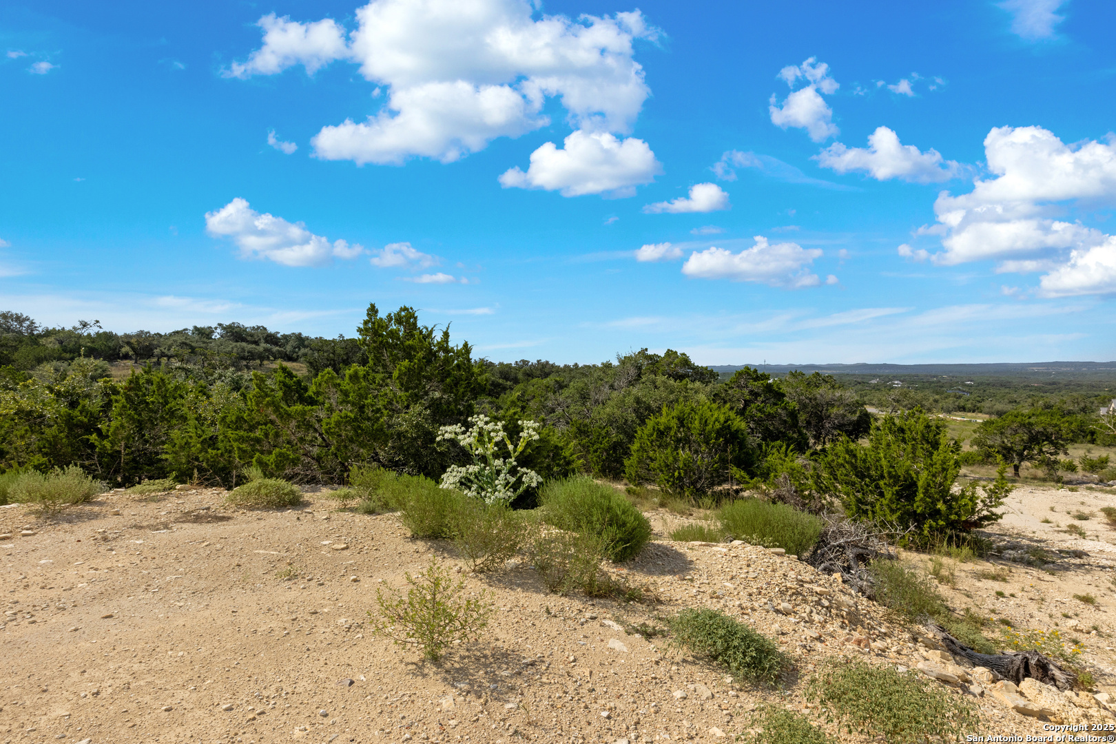 673 Travis Forest Bulverde TX 78163