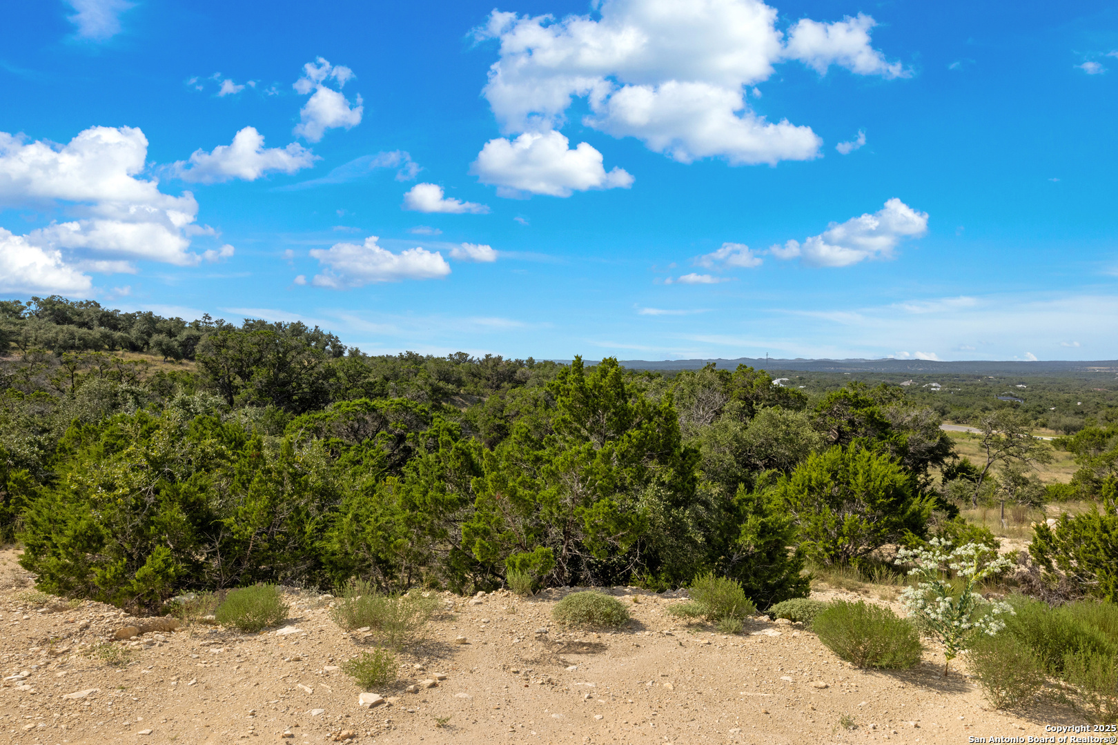 673 Travis Forest Bulverde TX 78163