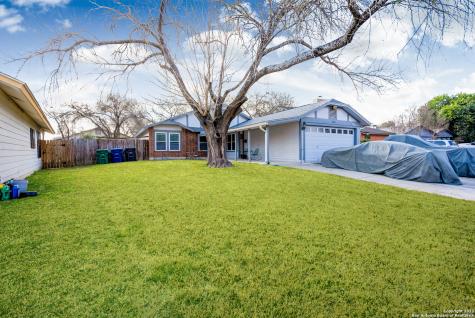 719 Cypresstree Drive San Antonio TX 78245
