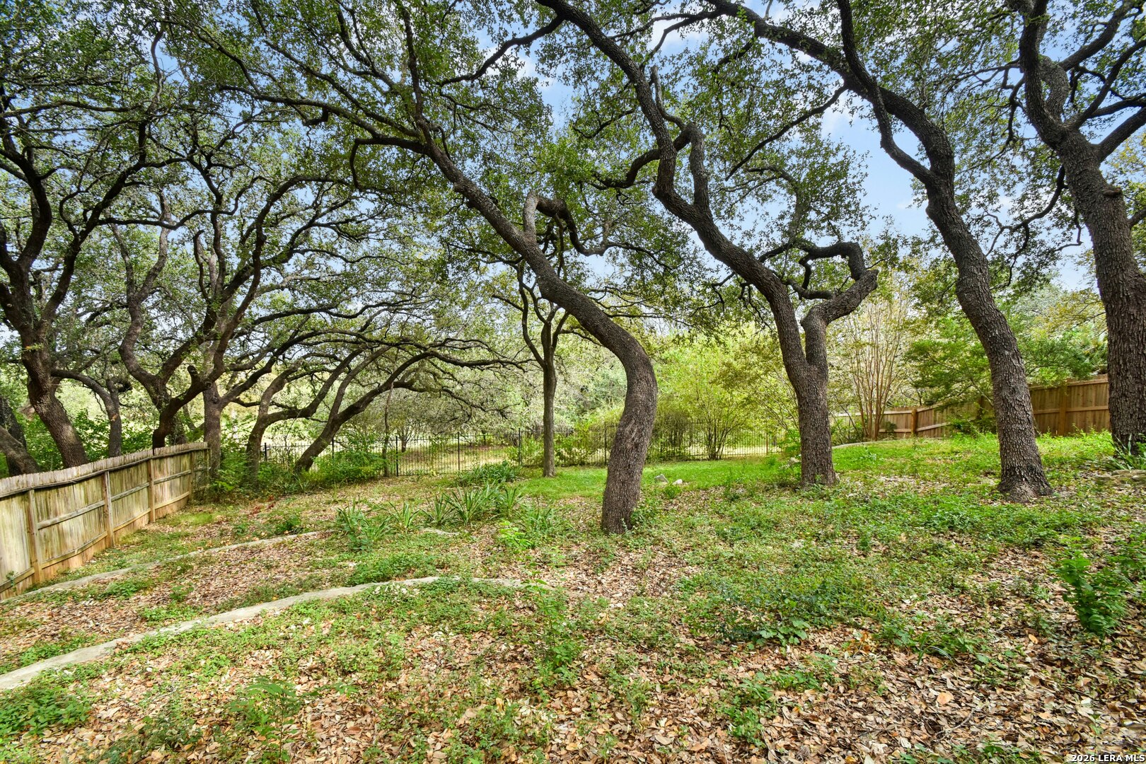 1118 Charlisas Way San Antonio TX 78216