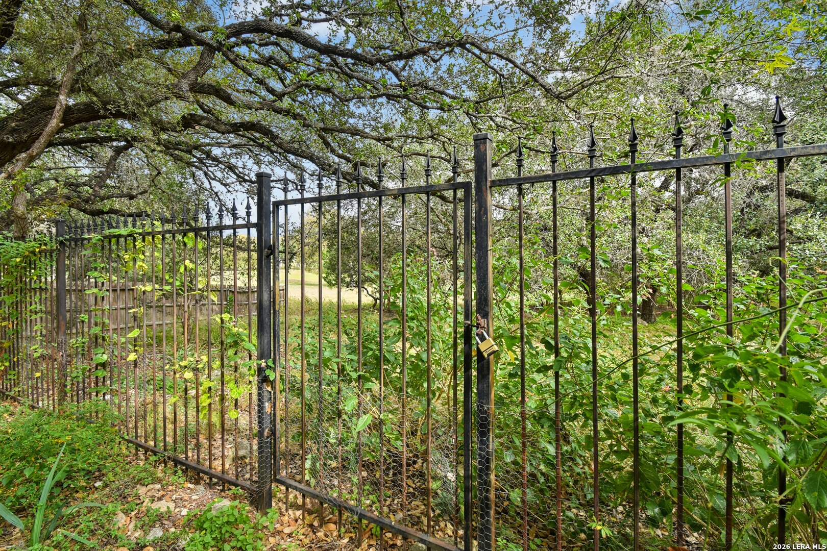 1118 Charlisas Way San Antonio TX 78216
