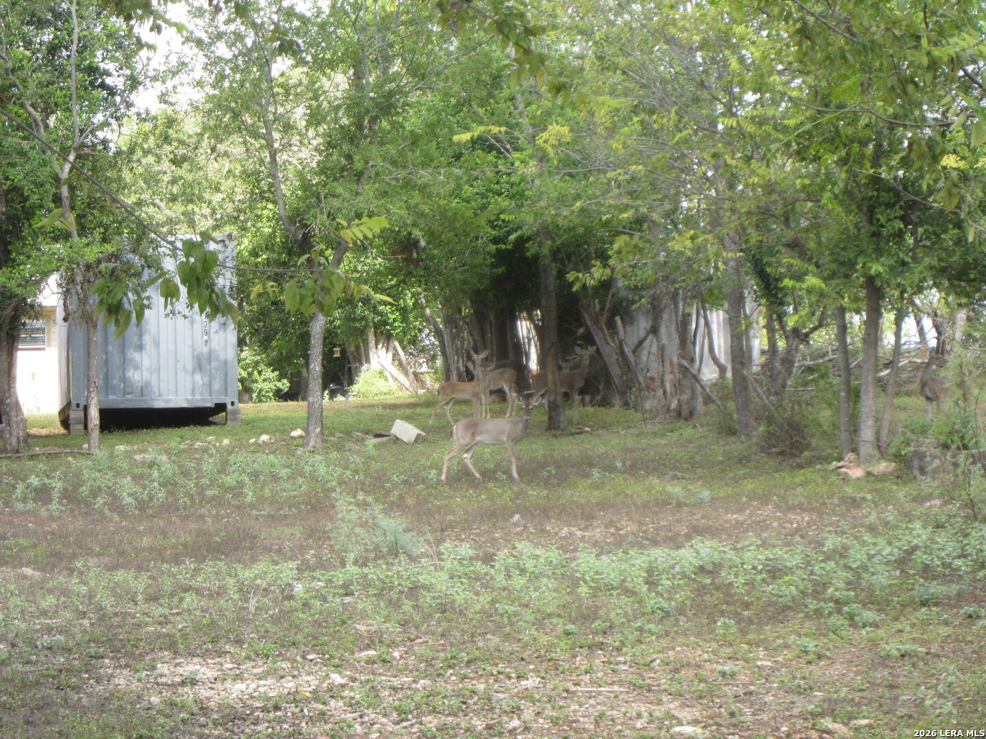 911 Cypress Bandera TX 78003