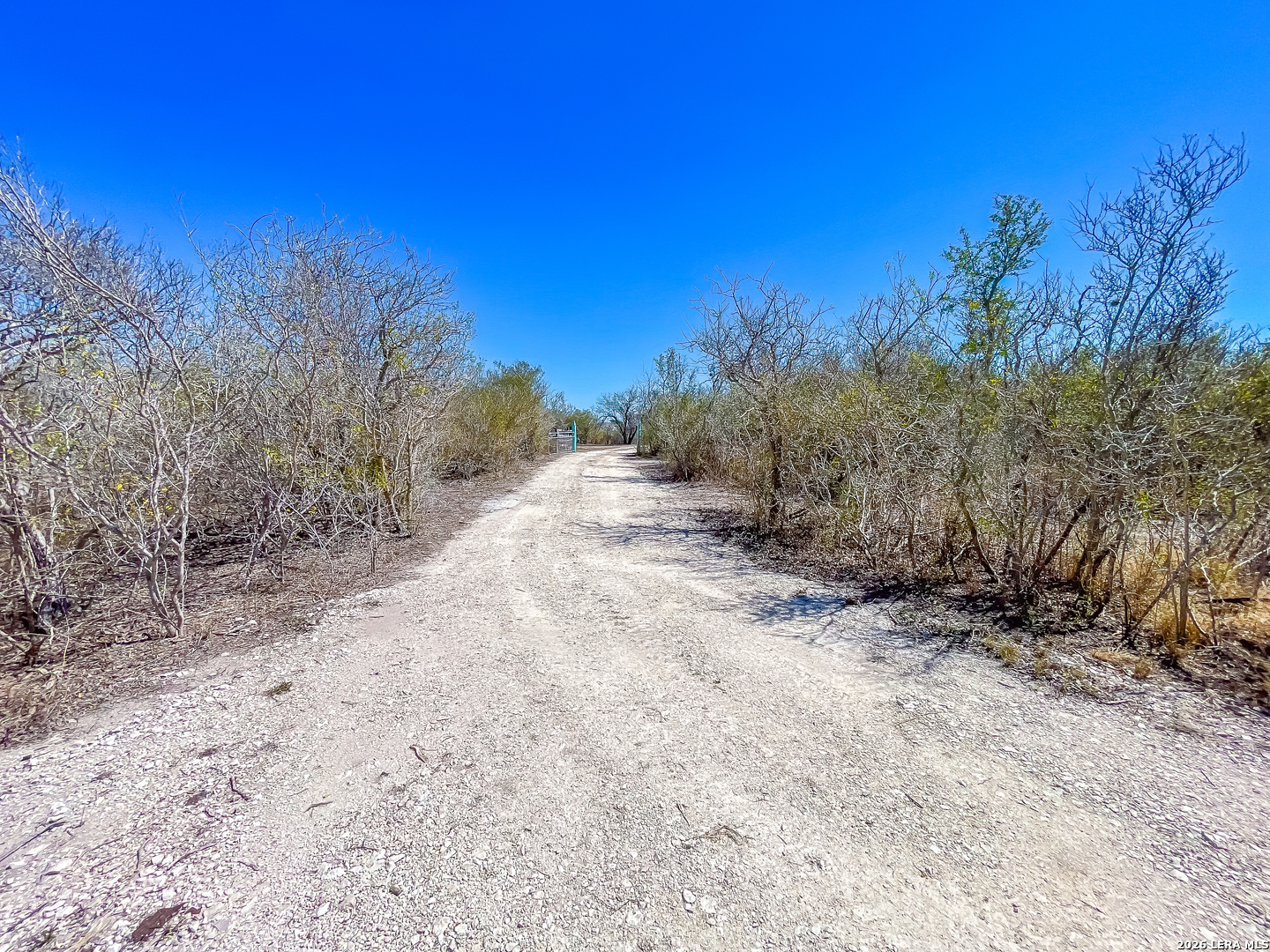 153 Pvt 4022 Beeville TX 78102
