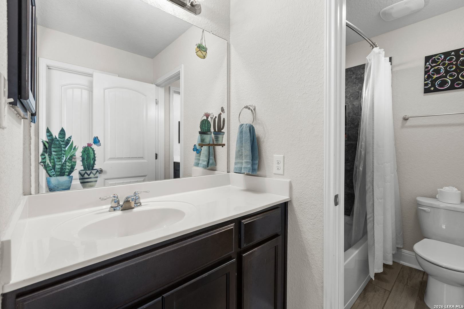 22411 Akin Heights San Antonio TX 78261