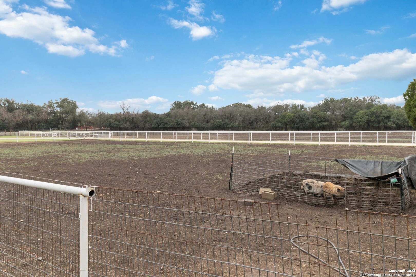 12120 Schaefer Road Schertz TX 78108