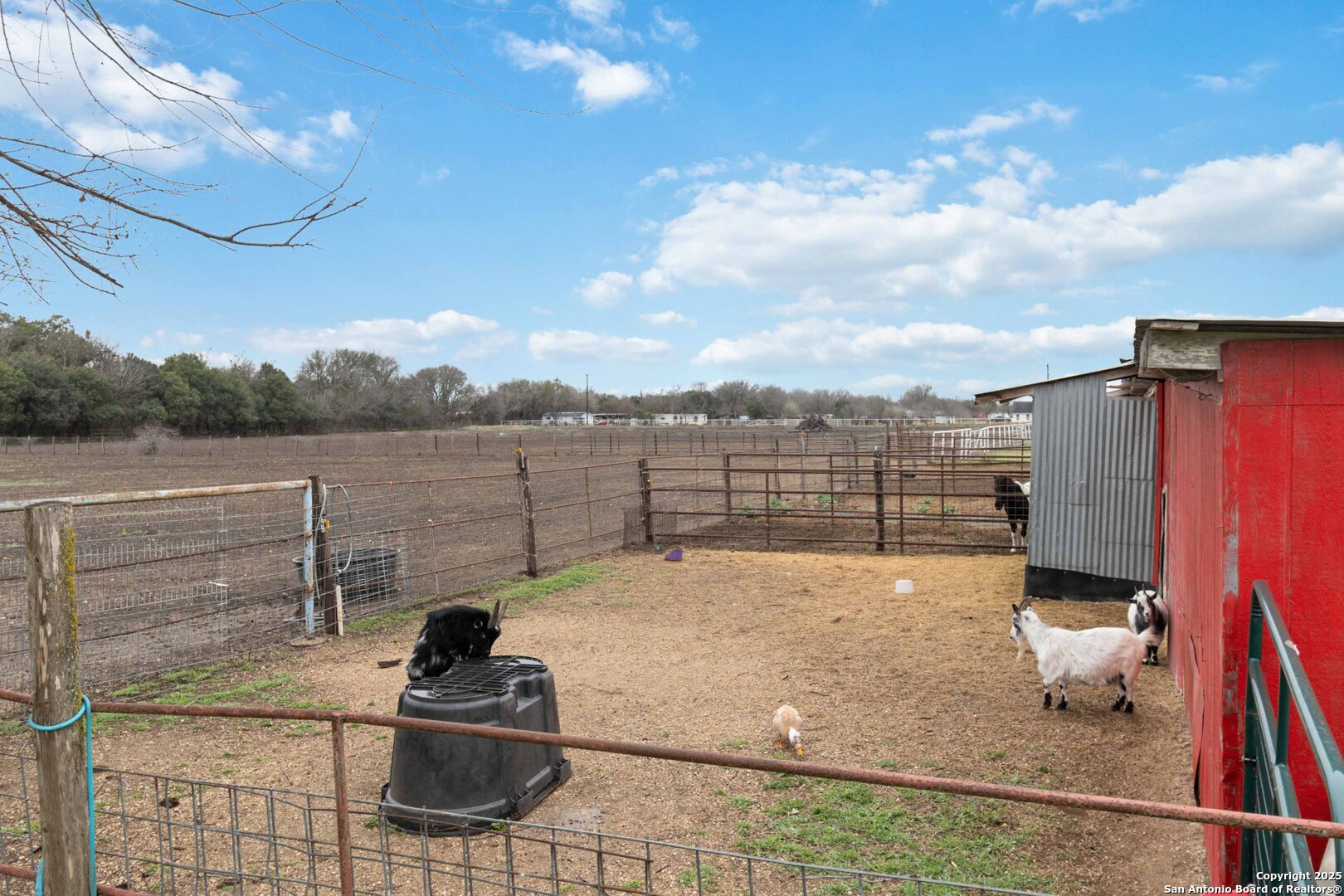 12120 Schaefer Road Schertz TX 78108