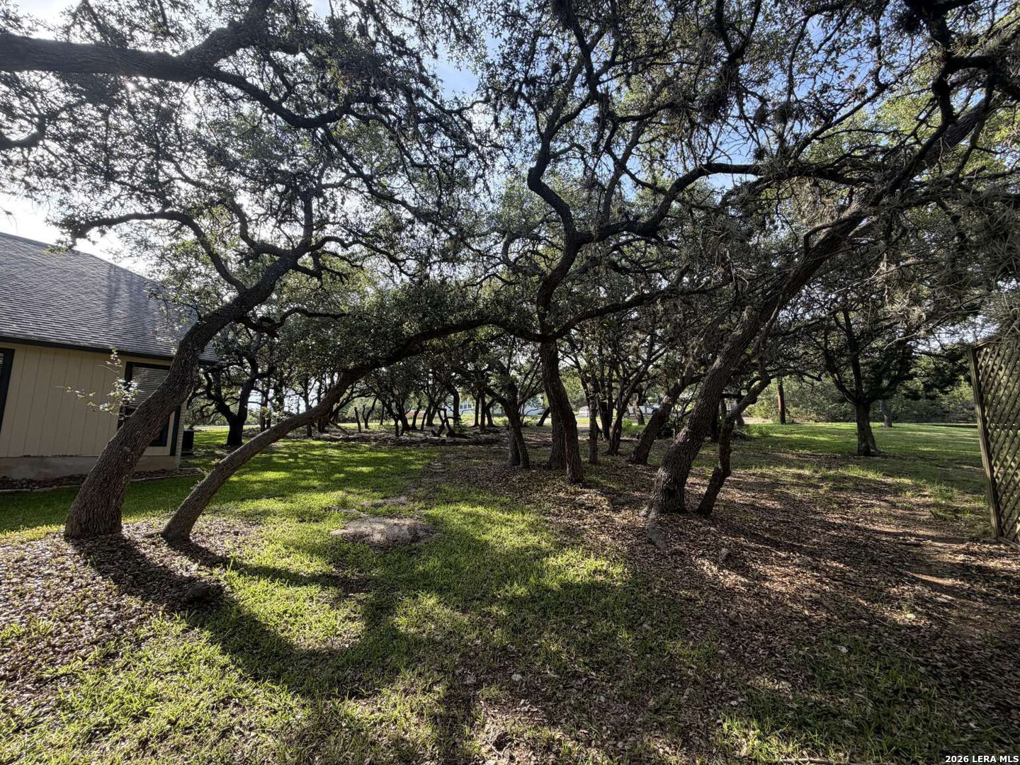 26246 High Timber Pass Street San Antonio TX 78260
