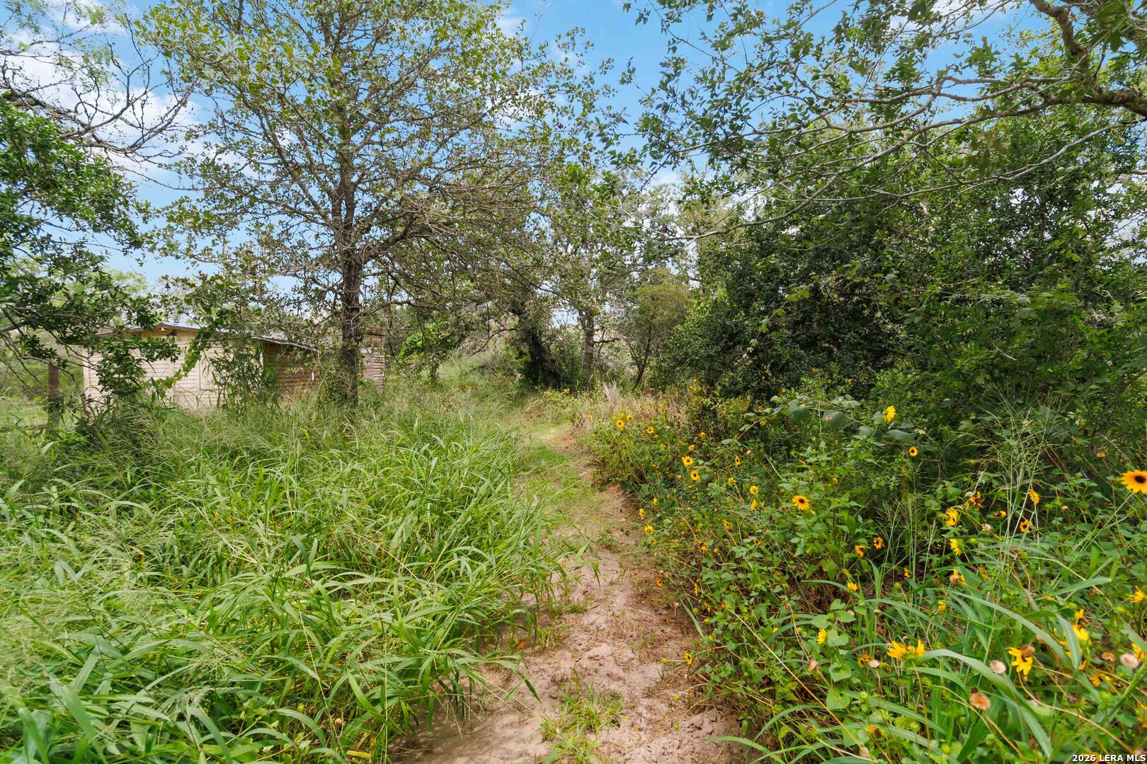 137 Sendera Crossing La Vernia TX 78121