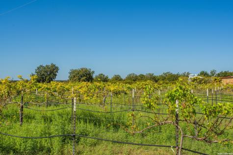 10207 E Us Highway 290 Fredericksburg TX 78624