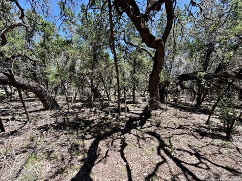 Lot 36-37 Wyatt Earp Bandera TX 78003
