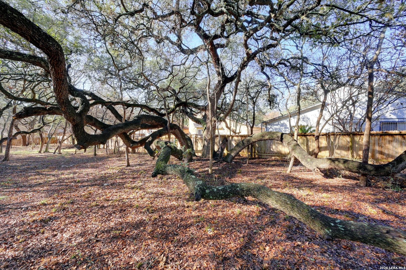5307 Misty San Antonio TX 78250