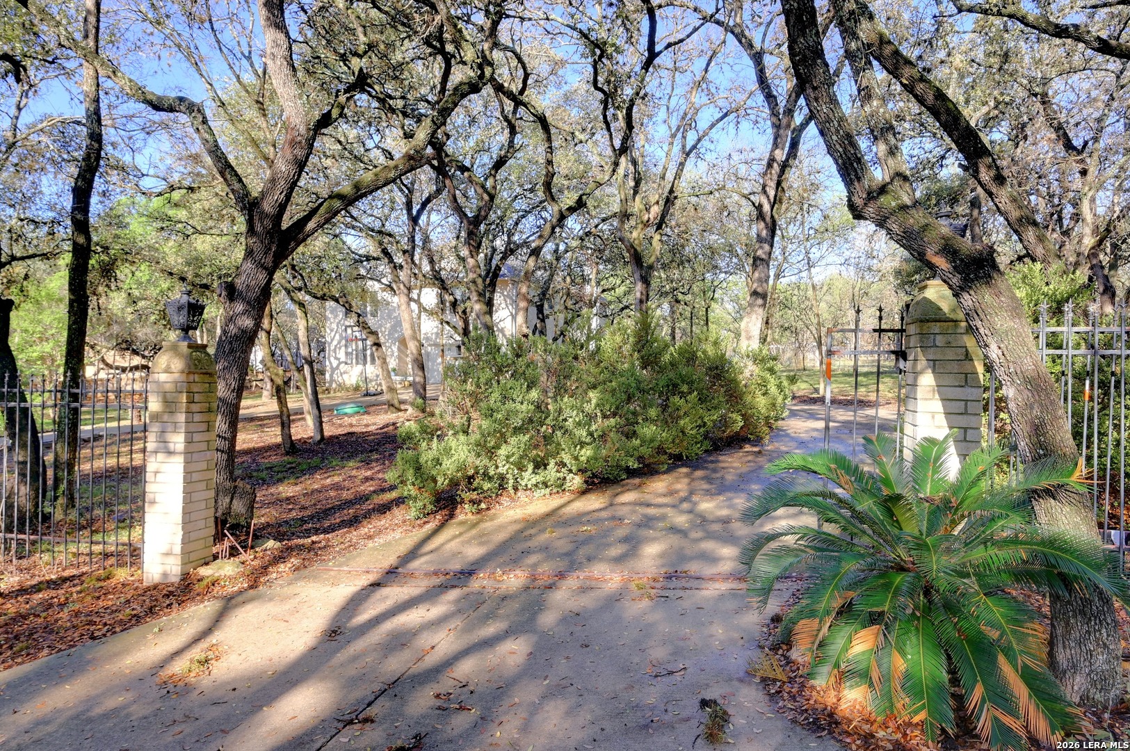 5307 Misty San Antonio TX 78250