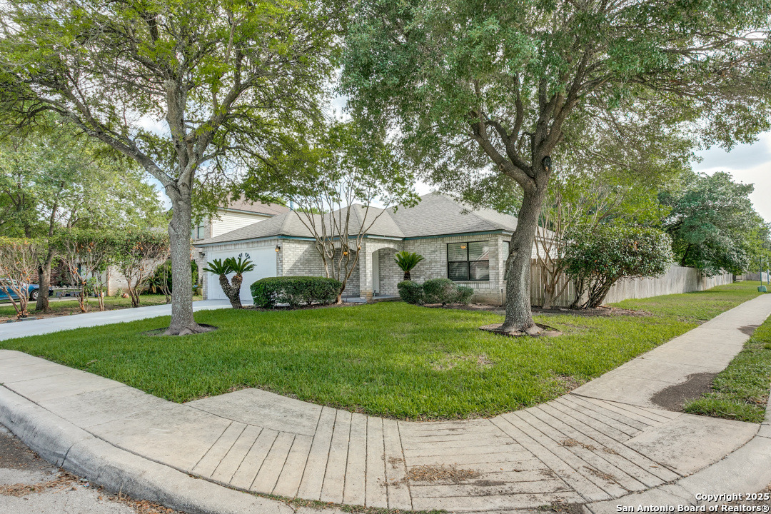 13502 Hickory Tavern San Antonio TX 78247