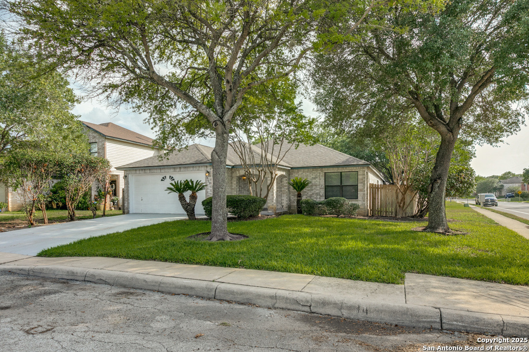 13502 Hickory Tavern San Antonio TX 78247