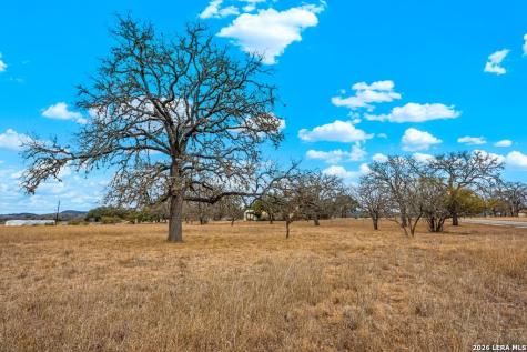 64 Orchard Park Boulevard Medina TX 78055