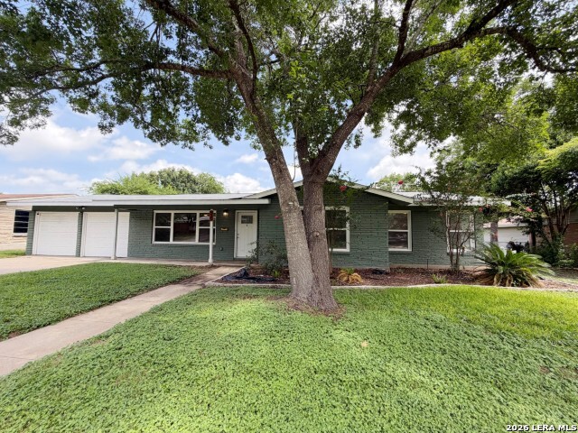 539 Oakleaf Drive San Antonio TX 78209