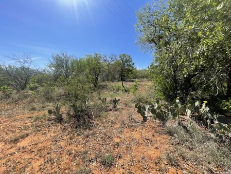 10306 Fm 1681 Nixon TX 78140