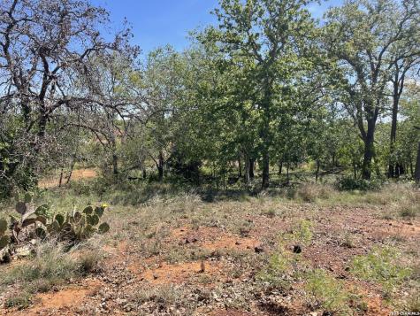 10306 Fm 1681 Nixon TX 78140