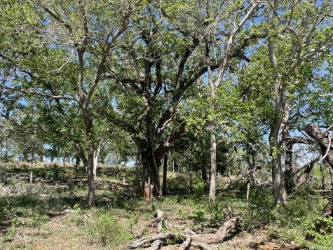 10306 Fm 1681 Nixon TX 78140